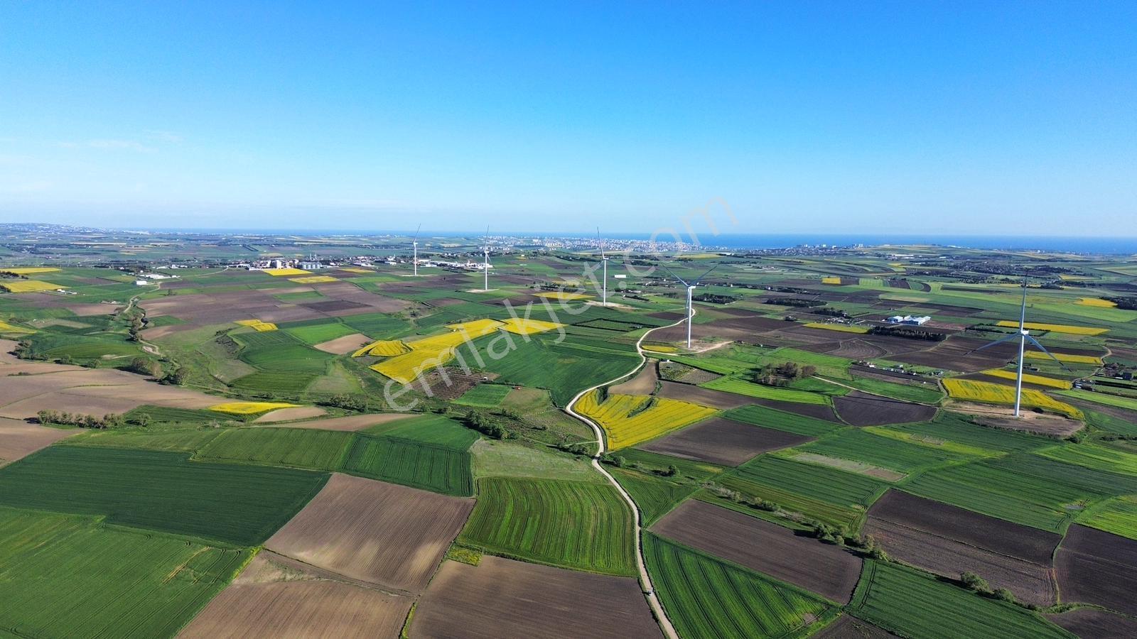 Fenerköyde 568 Metre Etrafı Çevrili Hissemiz Satışta - Görsel 4