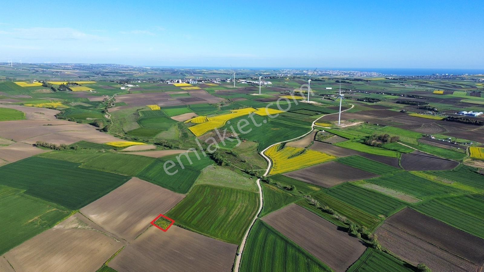 Fenerköyde 568 Metre Etrafı Çevrili Hissemiz Satışta - Görsel 9