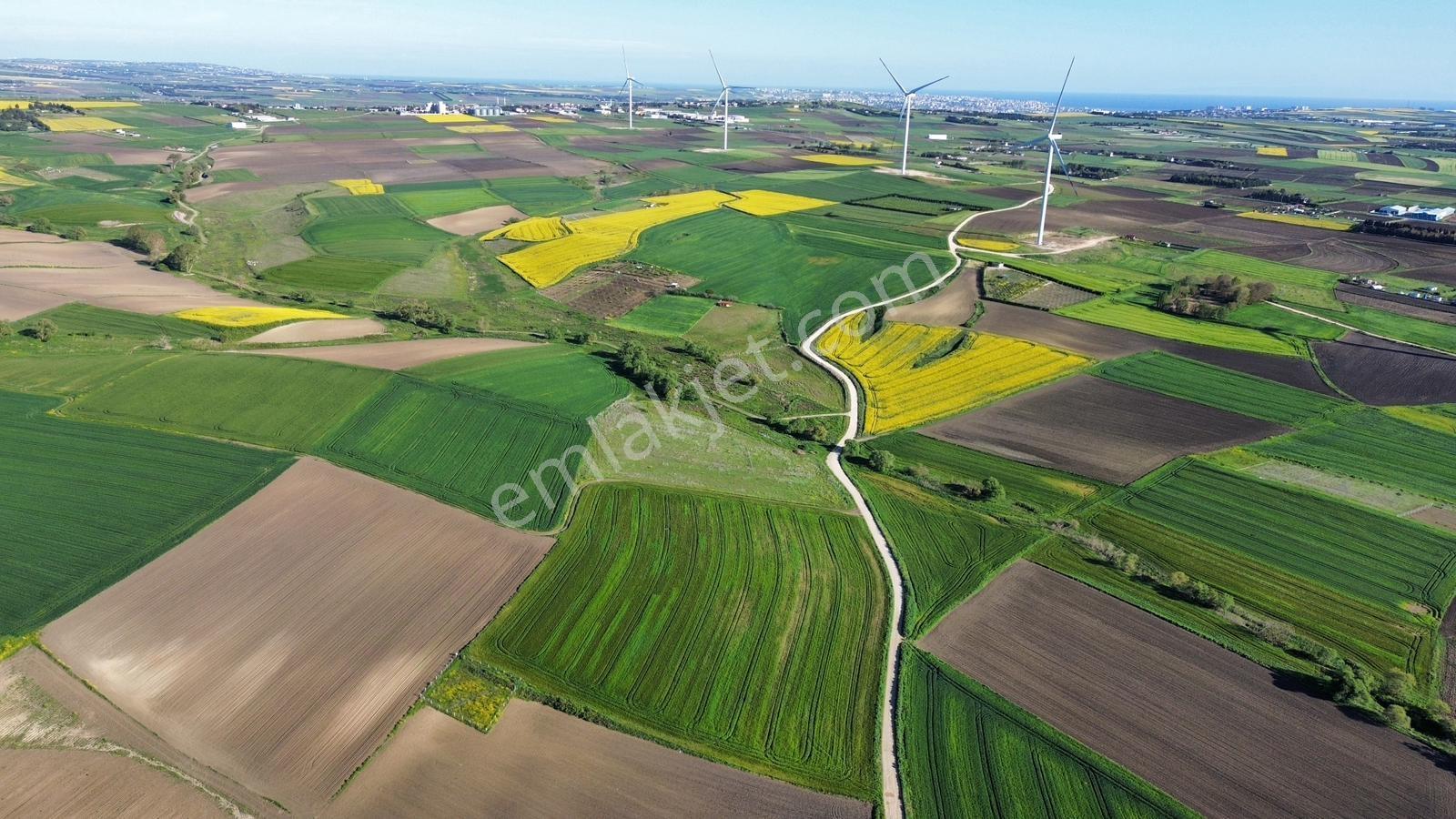 Fenerköyde 568 Metre Etrafı Çevrili Hissemiz Satışta - Görsel 34
