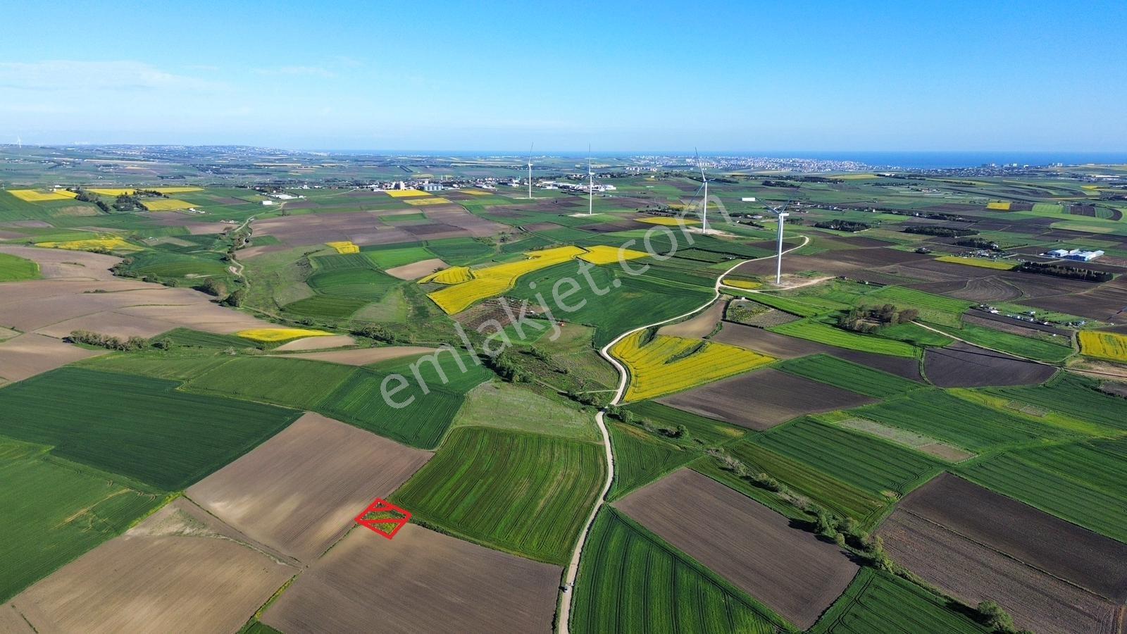 Fenerköyde 568 Metre Etrafı Çevrili Hissemiz Satışta - Görsel 28
