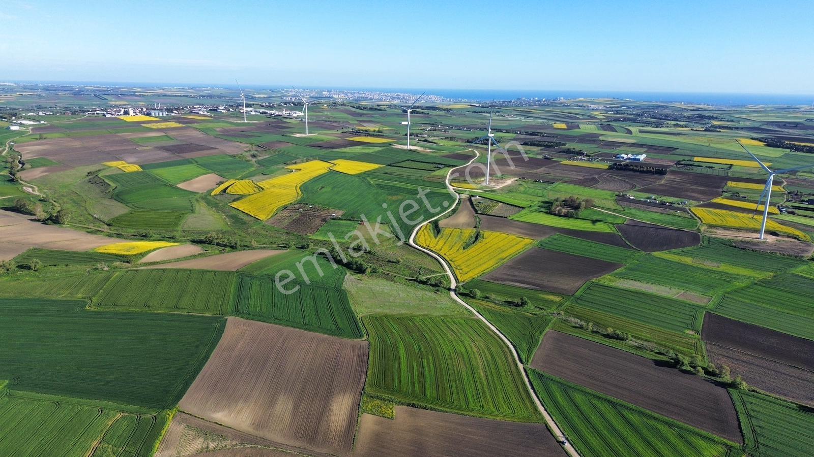 Fenerköyde 568 Metre Etrafı Çevrili Hissemiz Satışta - Görsel 3
