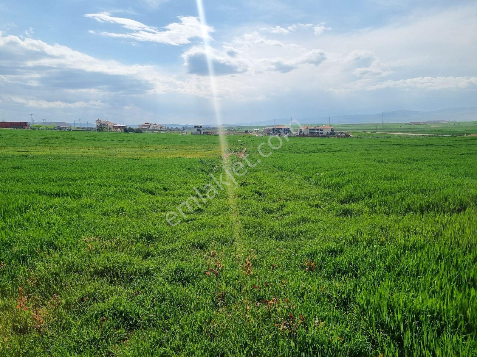 Temelli Alagöz Tek Tapu 427m2 0.90 Emsal Yatırımlık Arsa - Görsel 10