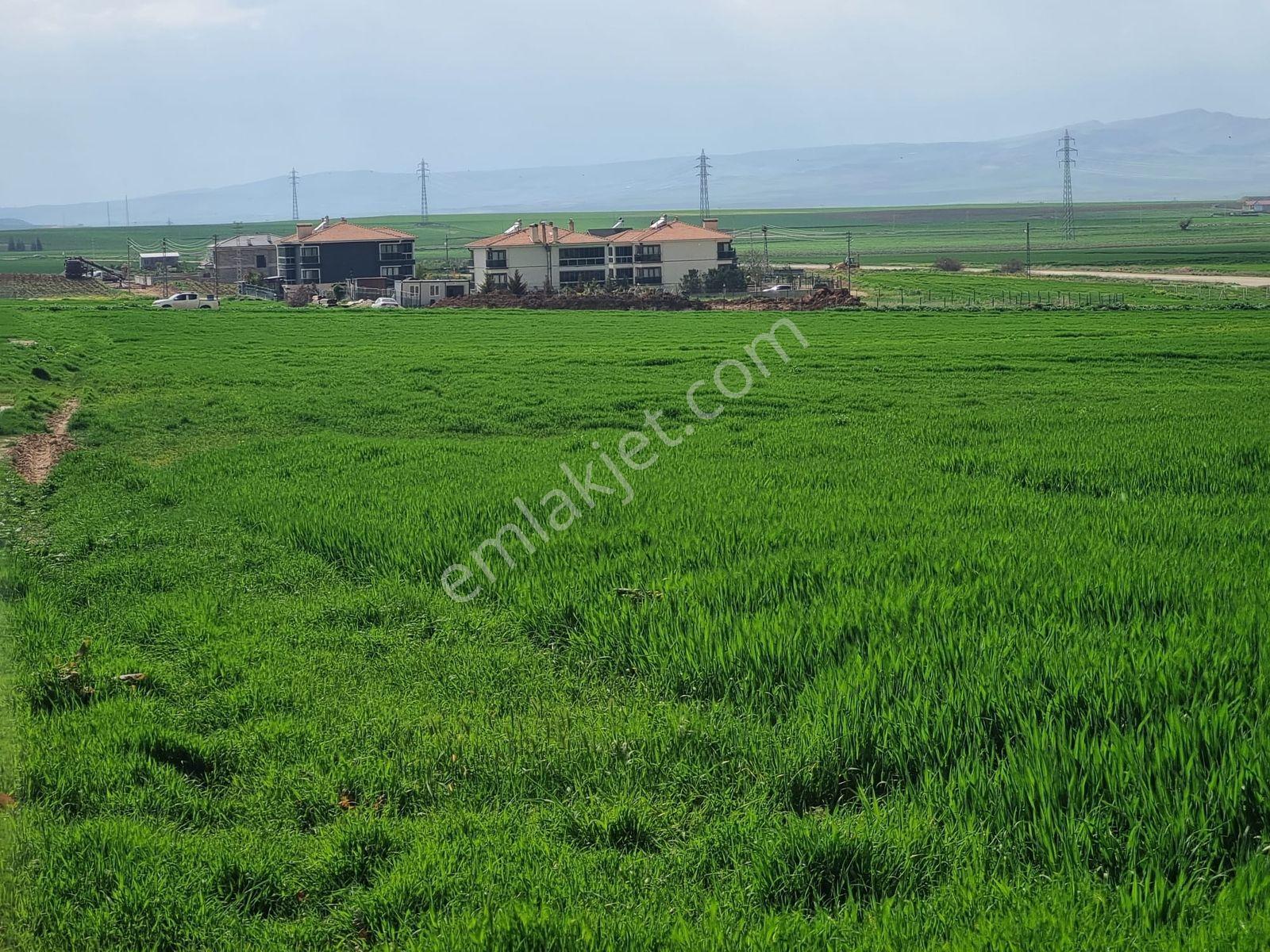 Temelli Alagöz Tek Tapu 427m2 0.90 Emsal Yatırımlık Arsa - Görsel 12
