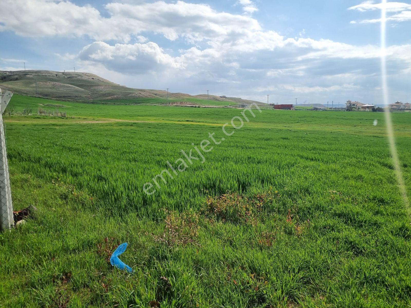 Temelli Alagöz Tek Tapu 427m2 0.90 Emsal Yatırımlık Arsa - Görsel 7