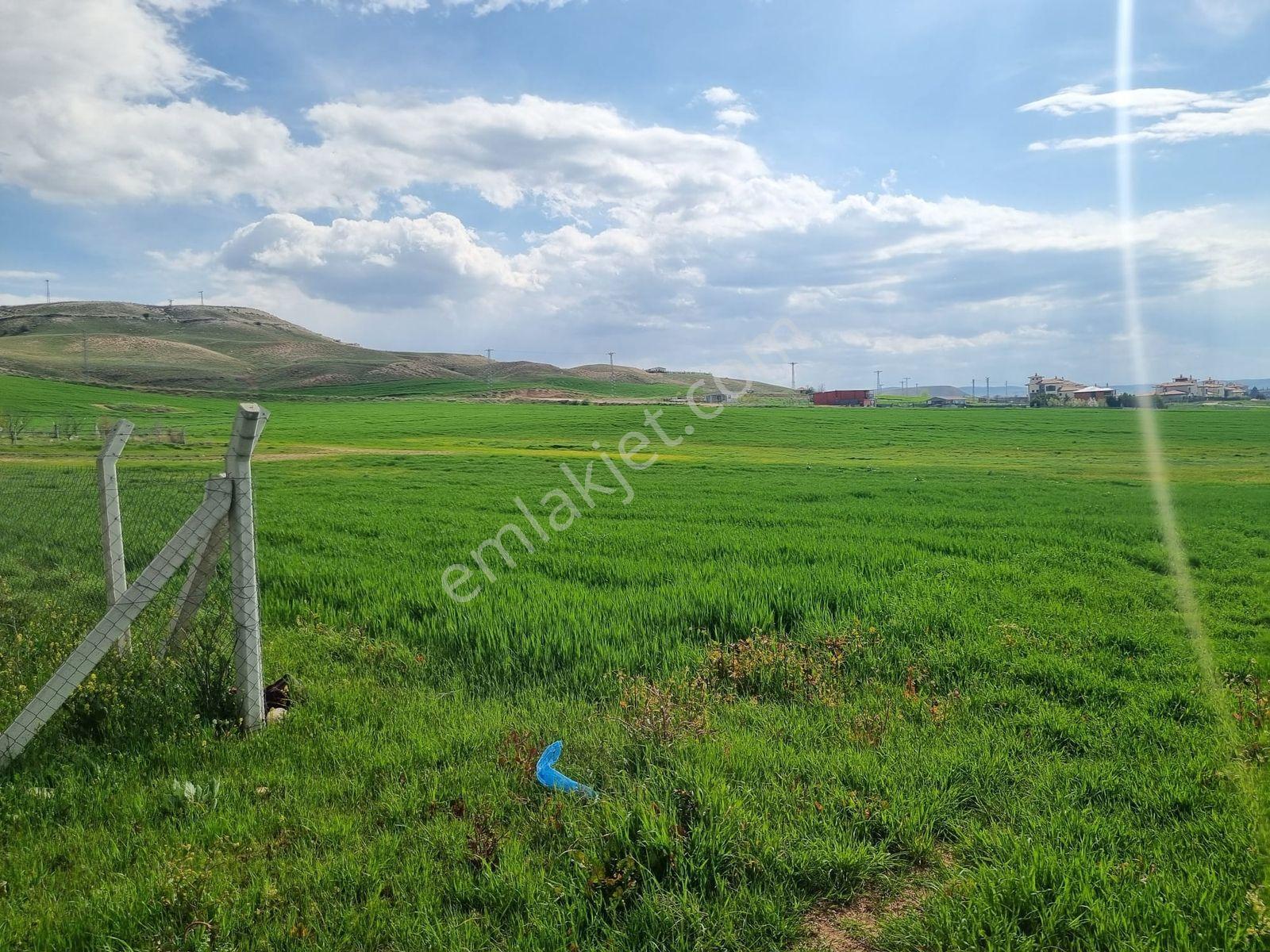 Temelli Alagöz Tek Tapu 427m2 0.90 Emsal Yatırımlık Arsa - Görsel 11