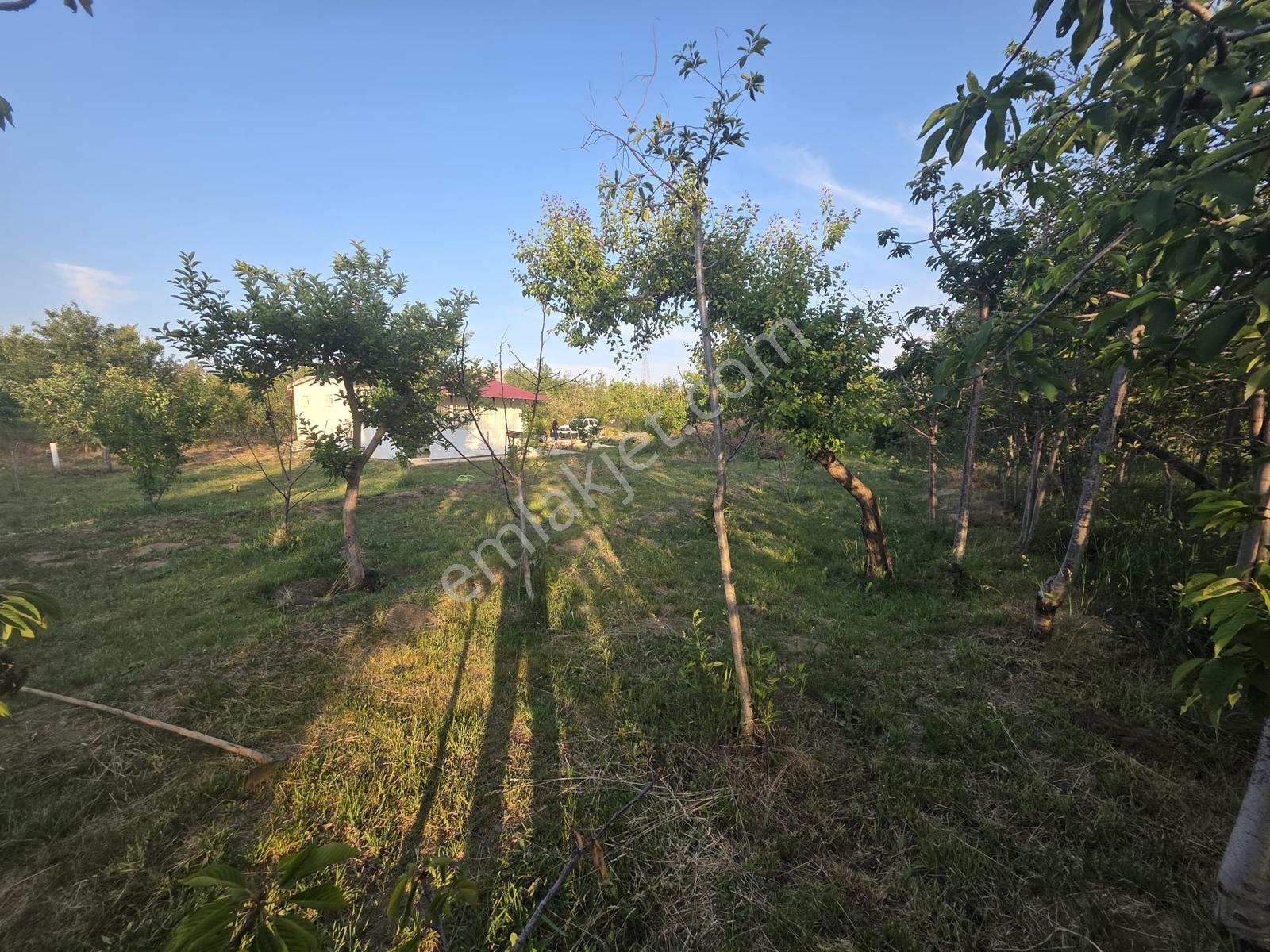 Cm Emlaktan, Eski Gümüş, Toy Tepesinde Satılık Evli Bahçe - Görsel 13