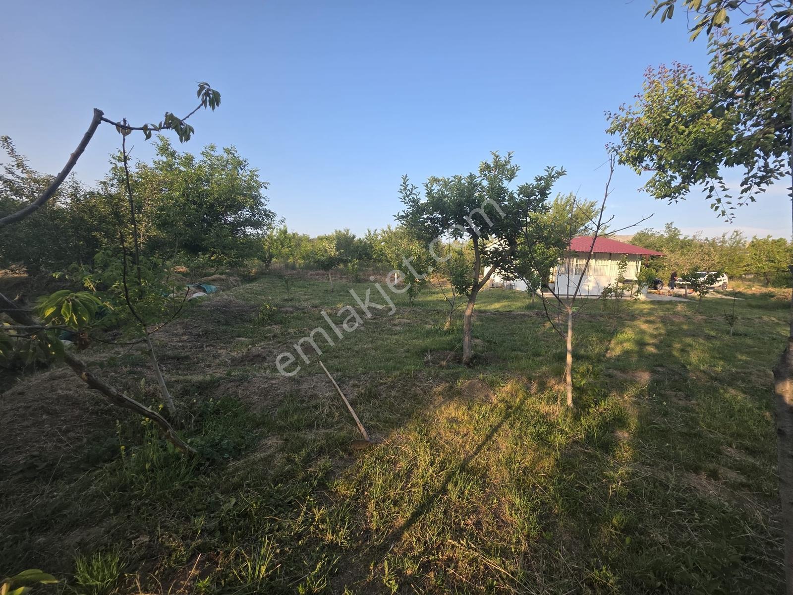 Cm Emlaktan, Eski Gümüş, Toy Tepesinde Satılık Evli Bahçe - Görsel 15