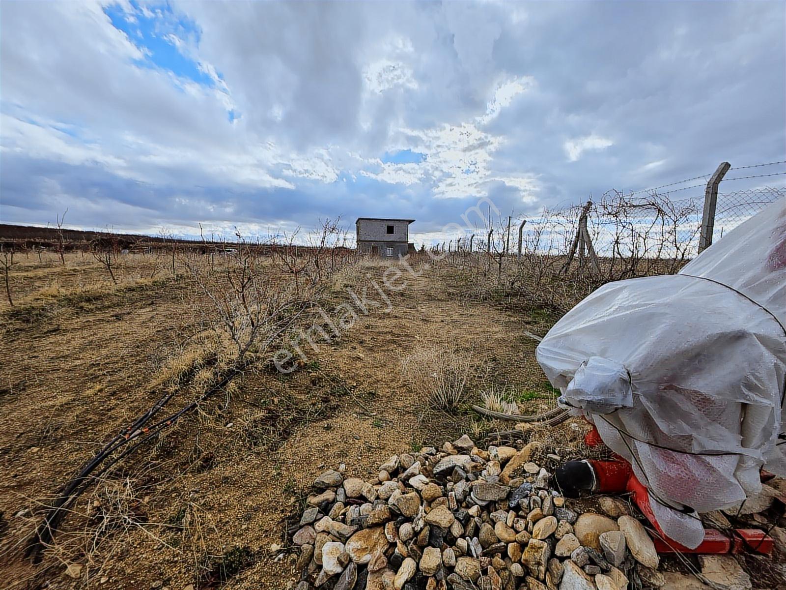 Sazlıca Yeni Mah. 4800 M2 Evli Bahçe, Cm Emlaktan - Görsel 7