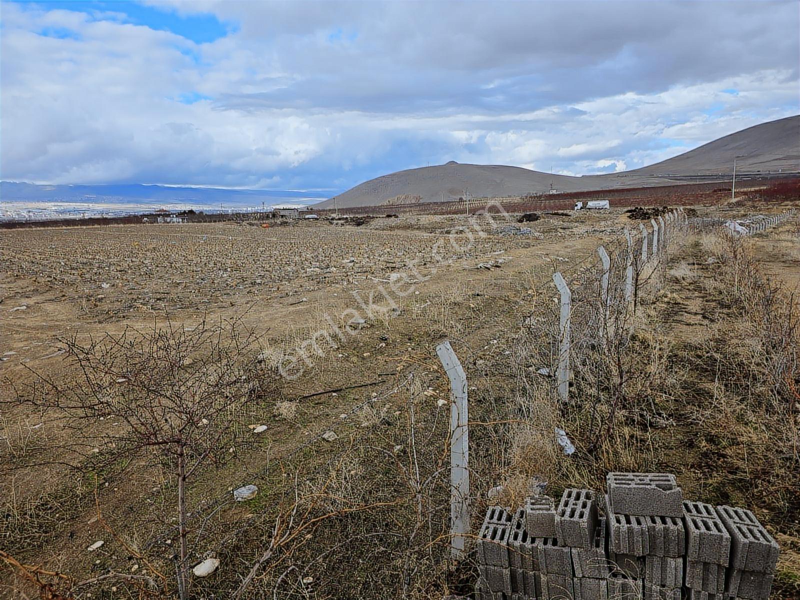 Sazlıca Yeni Mah. 4800 M2 Evli Bahçe, Cm Emlaktan - Görsel 9
