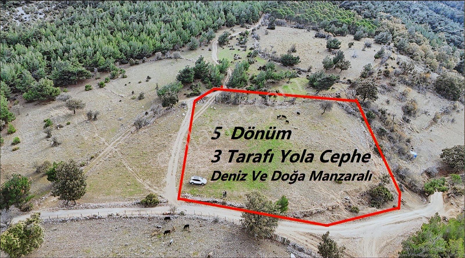 Havran'da Kocaseyit'e Komşu Deniz Manzaralı 5 Dönüm Arazi - Görsel 11
