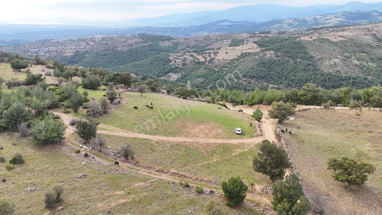 Havran'da Kocaseyit'e Komşu Deniz Manzaralı 5 Dönüm Arazi - Görsel 17