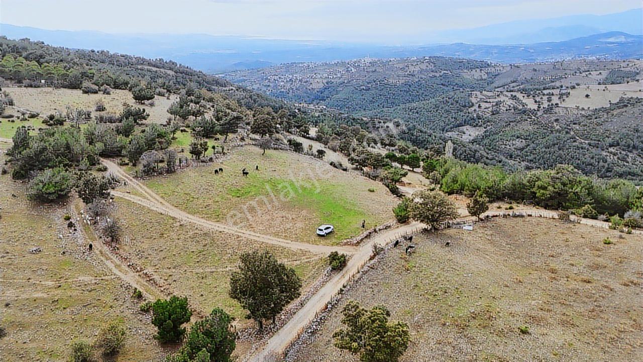 Havran'da Kocaseyit'e Komşu Deniz Manzaralı 5 Dönüm Arazi
