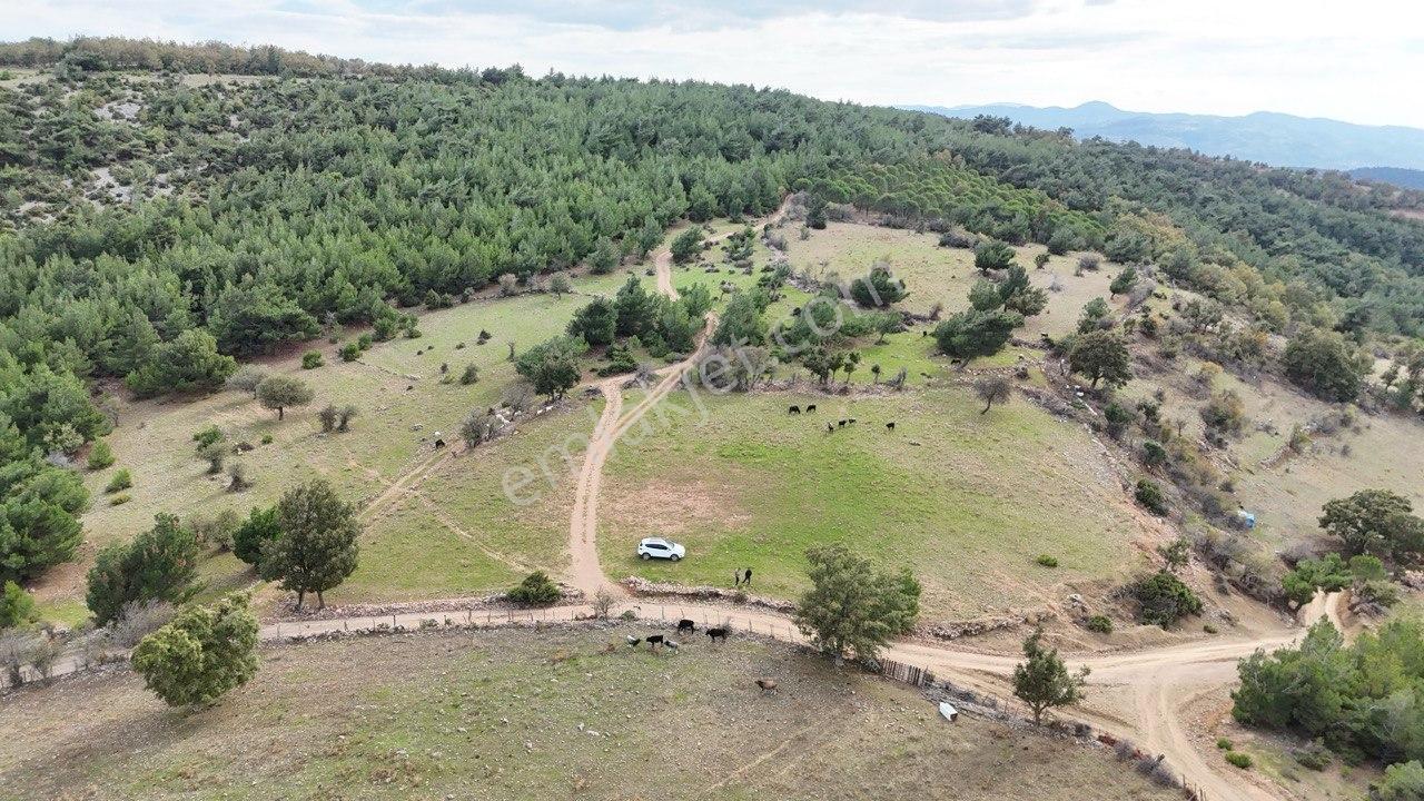 Havran'da Kocaseyit'e Komşu Deniz Manzaralı 5 Dönüm Arazi - Görsel 16