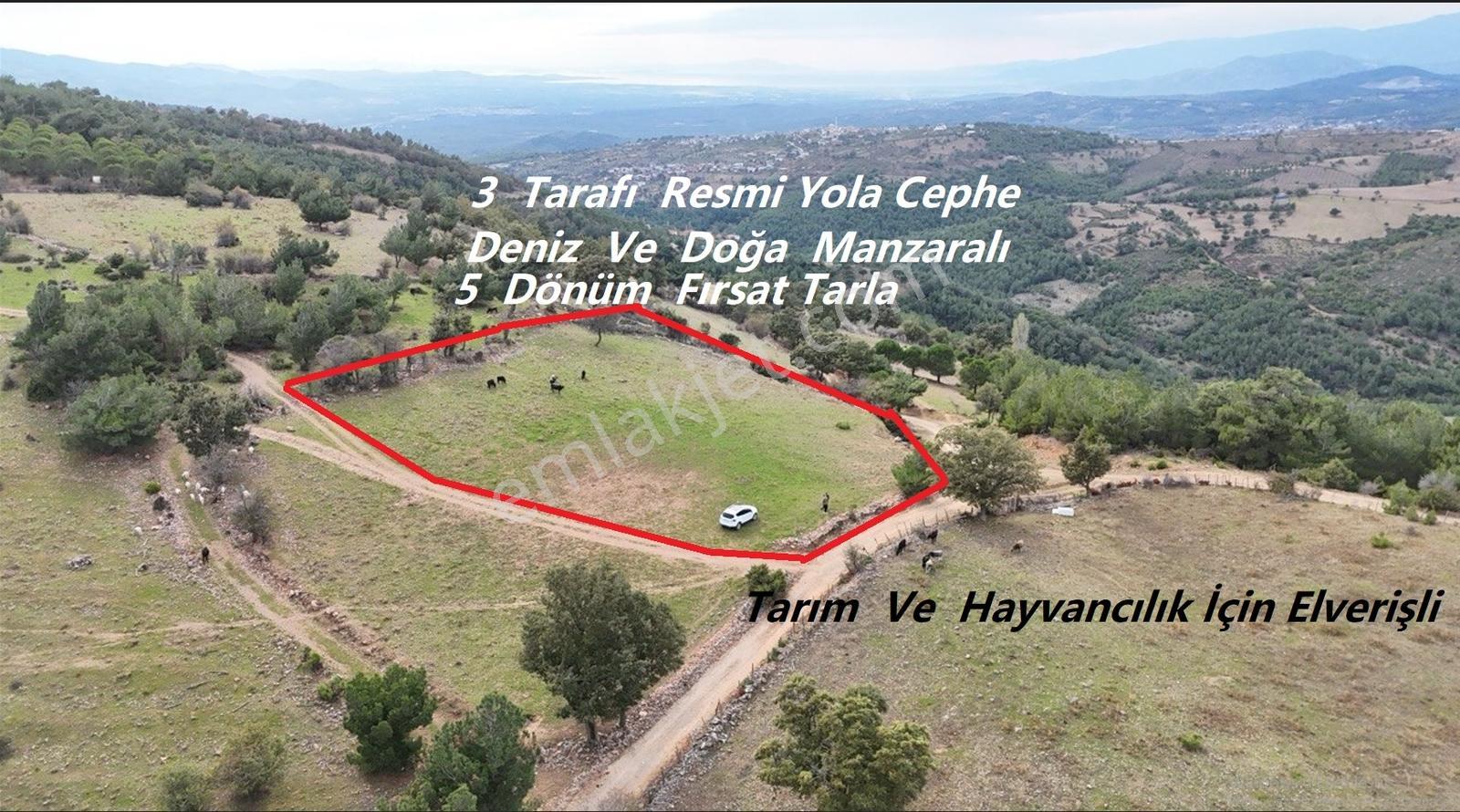 Havran'da Kocaseyit'e Komşu Deniz Manzaralı 5 Dönüm Arazi - Görsel 20