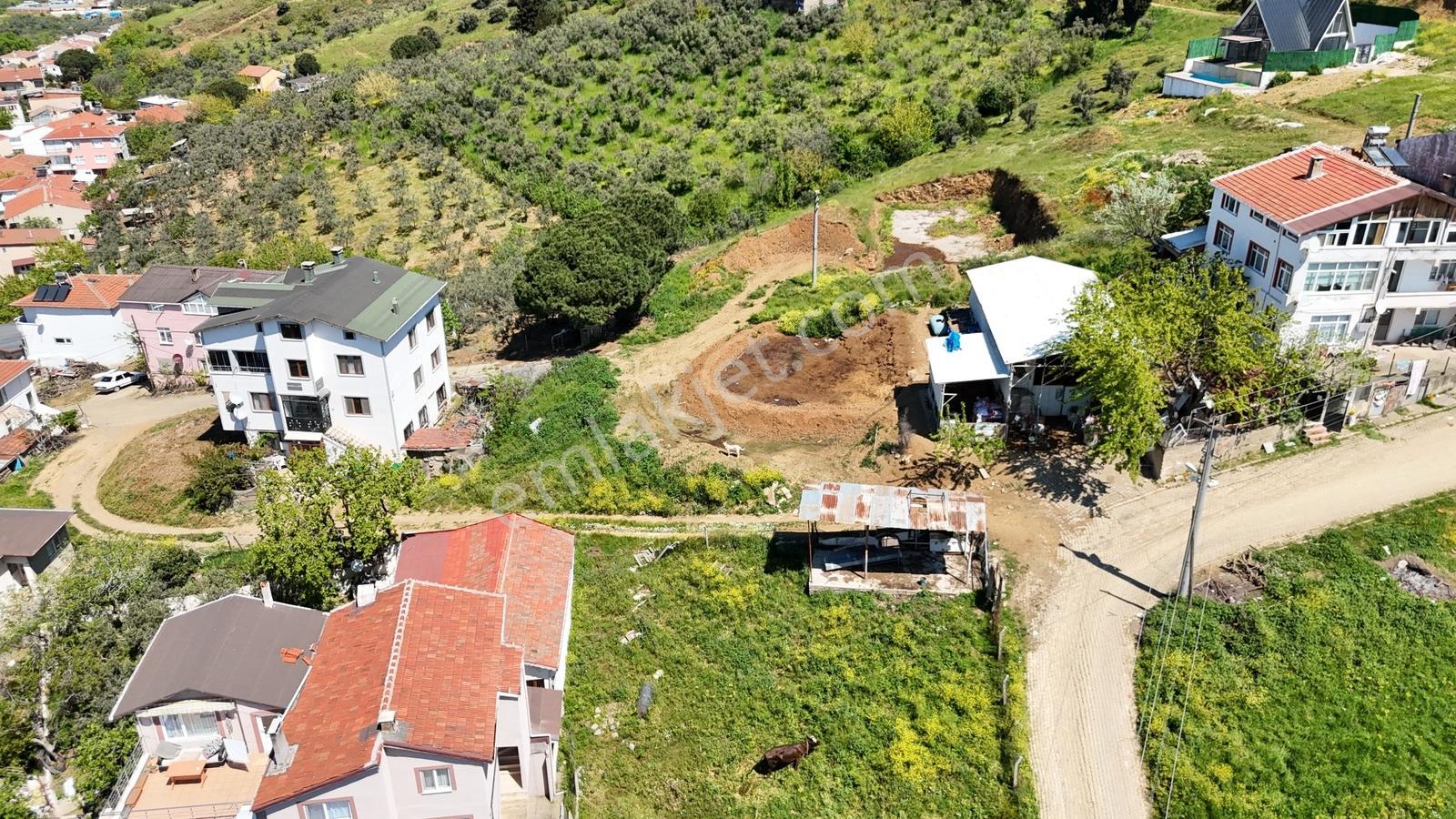 Mısırlı'dan Daire Takasına Uygun 335m2 Net İmarlı Arsa - Görsel 9