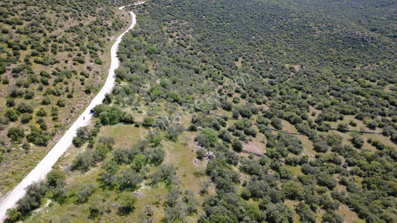 Hacıömerlide Satılık 20.000m2 Yola Cephe Satılık Arazi - Görsel 26