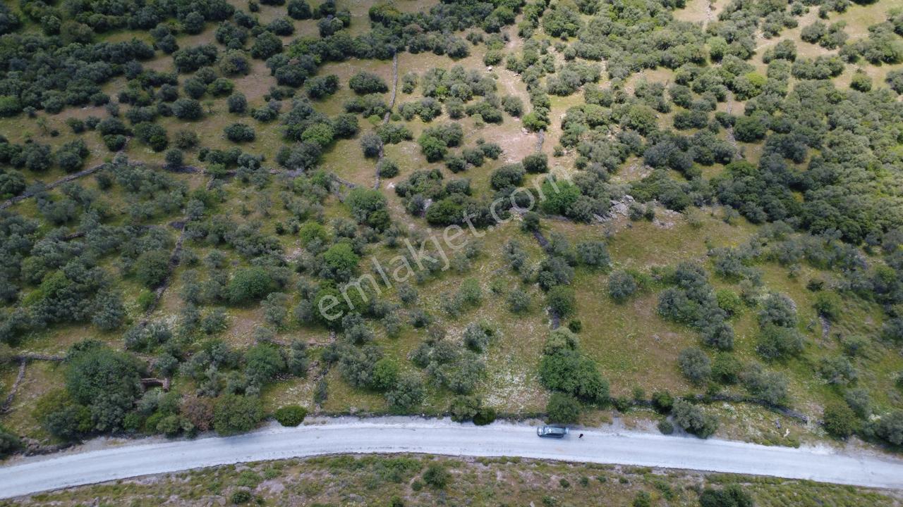 Hacıömerlide Satılık 20.000m2 Yola Cephe Satılık Arazi - Görsel 12