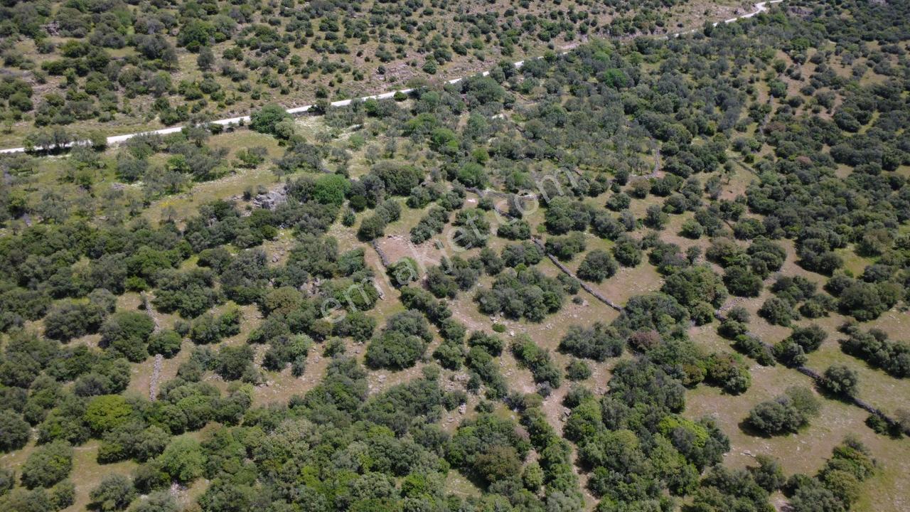 Hacıömerlide Satılık 20.000m2 Yola Cephe Satılık Arazi - Görsel 28
