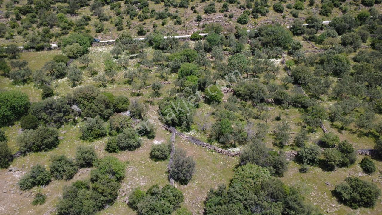 Hacıömerlide Satılık 20.000m2 Yola Cephe Satılık Arazi - Görsel 10