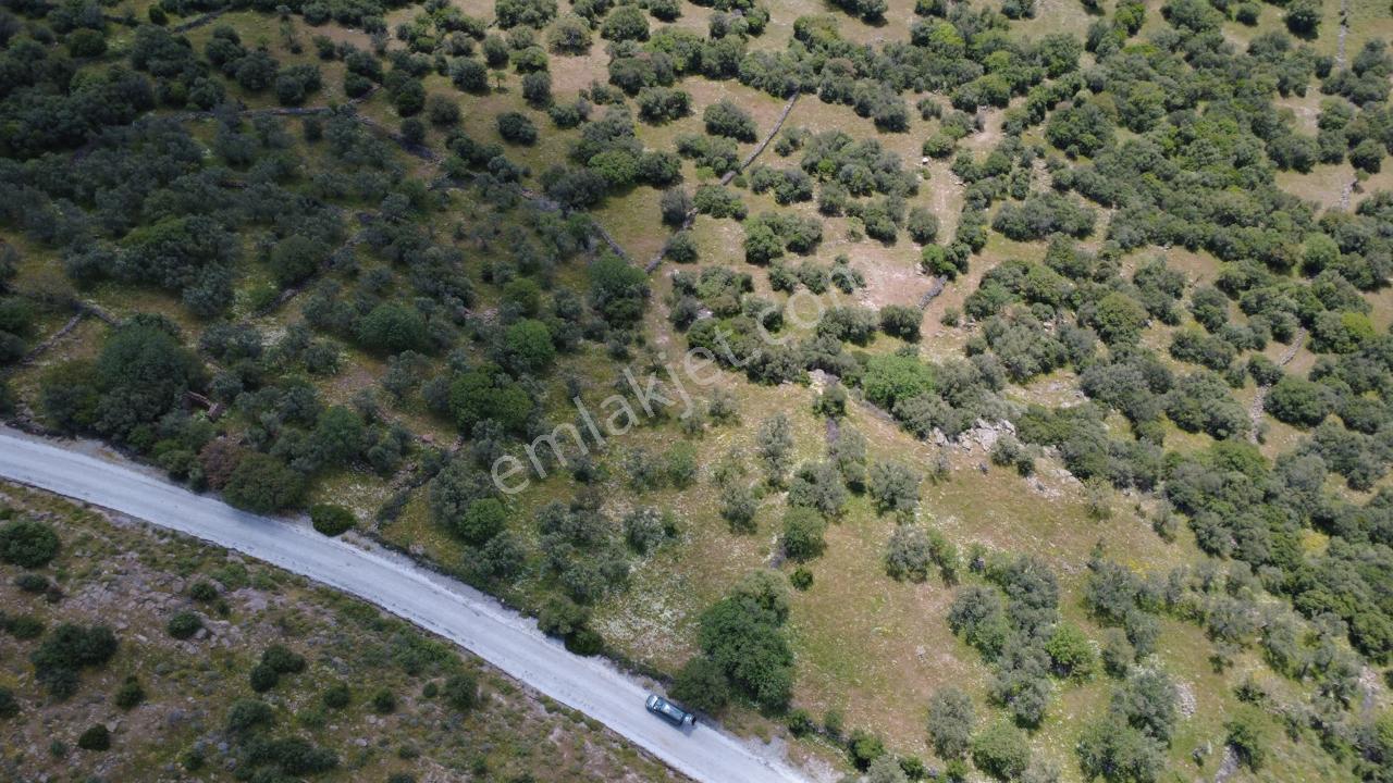 Hacıömerlide Satılık 20.000m2 Yola Cephe Satılık Arazi - Görsel 15