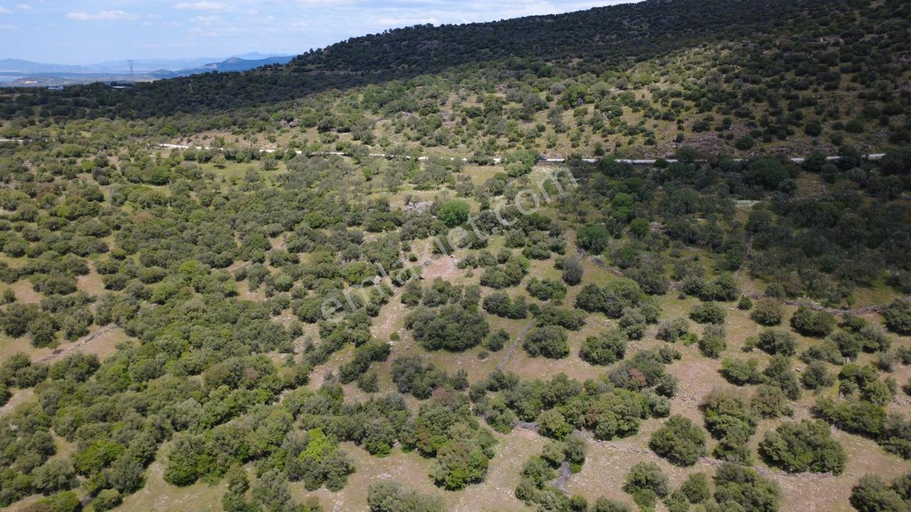 Hacıömerlide Satılık 20.000m2 Yola Cephe Satılık Arazi - Görsel 30