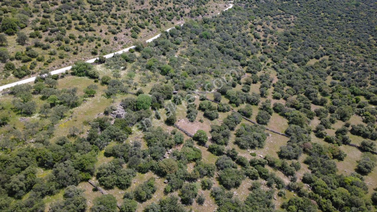 Hacıömerlide Satılık 20.000m2 Yola Cephe Satılık Arazi - Görsel 27
