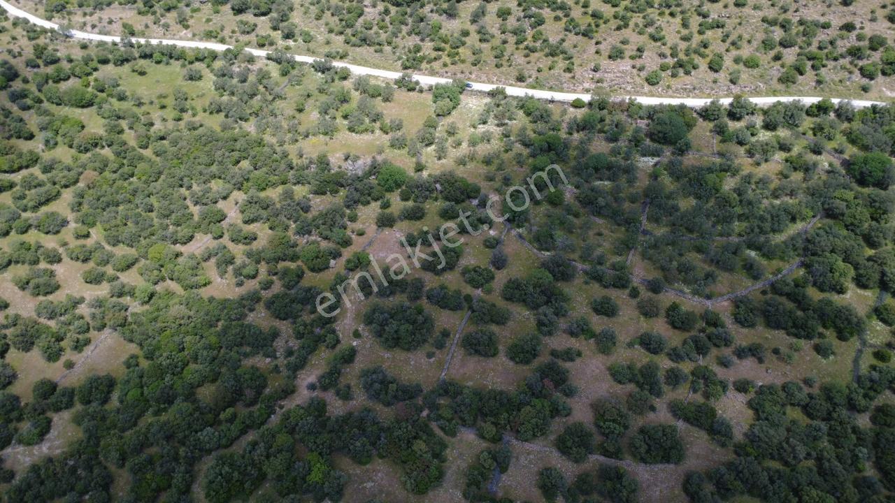 Hacıömerlide Satılık 20.000m2 Yola Cephe Satılık Arazi - Görsel 21