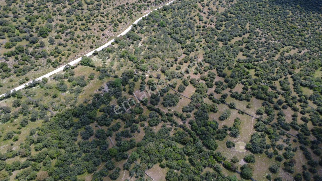 Hacıömerlide Satılık 20.000m2 Yola Cephe Satılık Arazi - Görsel 25