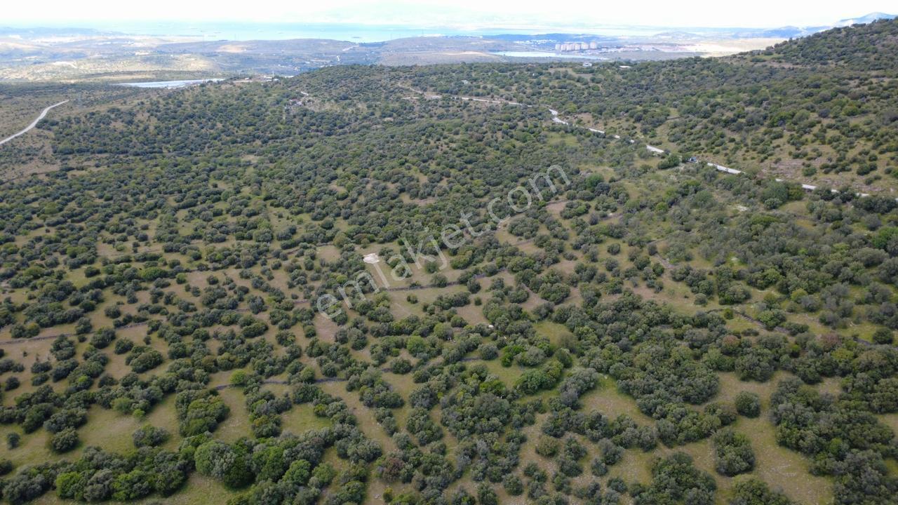 Hacıömerlide Satılık 20.000m2 Yola Cephe Satılık Arazi - Görsel 5
