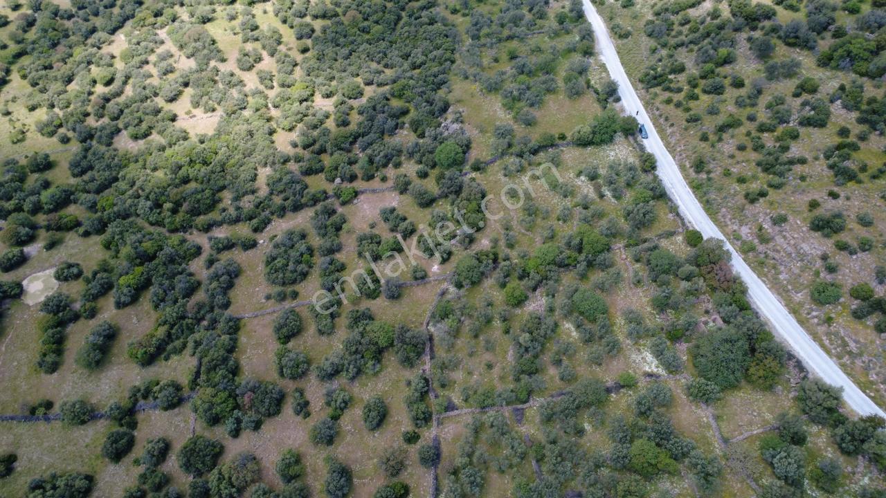 Hacıömerlide Satılık 20.000m2 Yola Cephe Satılık Arazi - Görsel 18
