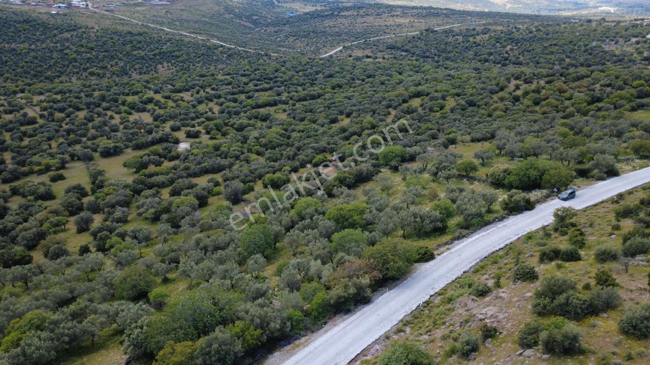 Hacıömerlide Satılık 20.000m2 Yola Cephe Satılık Arazi - Görsel 4