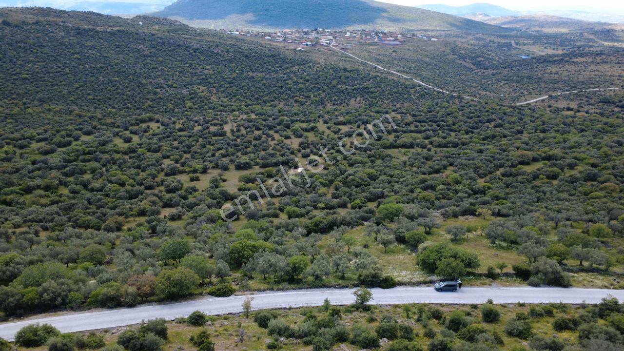 Hacıömerlide Satılık 20.000m2 Yola Cephe Satılık Arazi - Görsel 7