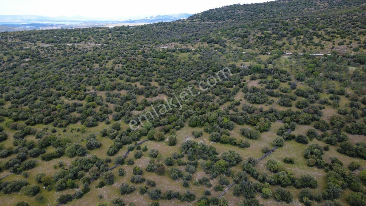 Hacıömerlide Satılık 20.000m2 Yola Cephe Satılık Arazi
