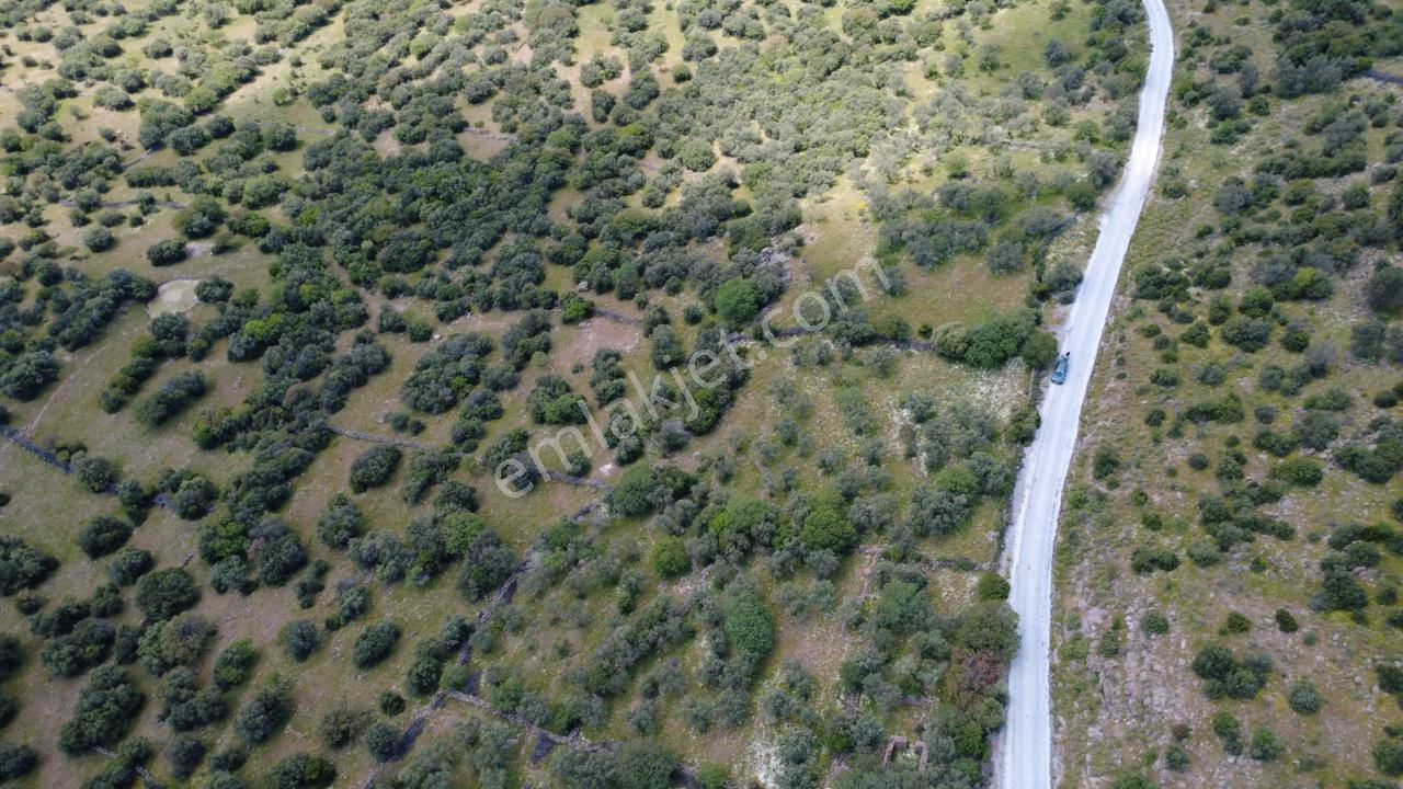 Hacıömerlide Satılık 20.000m2 Yola Cephe Satılık Arazi - Görsel 14