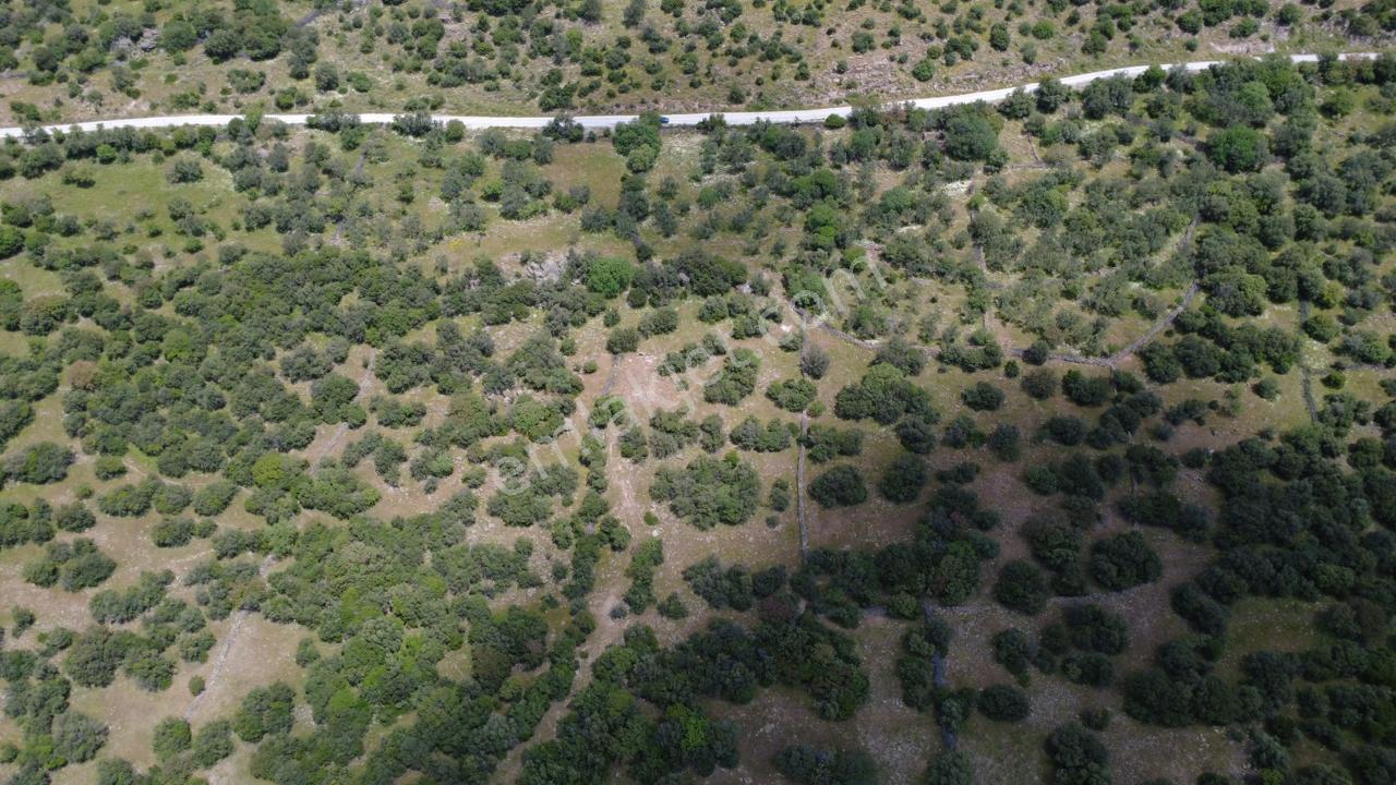 Hacıömerlide Satılık 20.000m2 Yola Cephe Satılık Arazi - Görsel 19