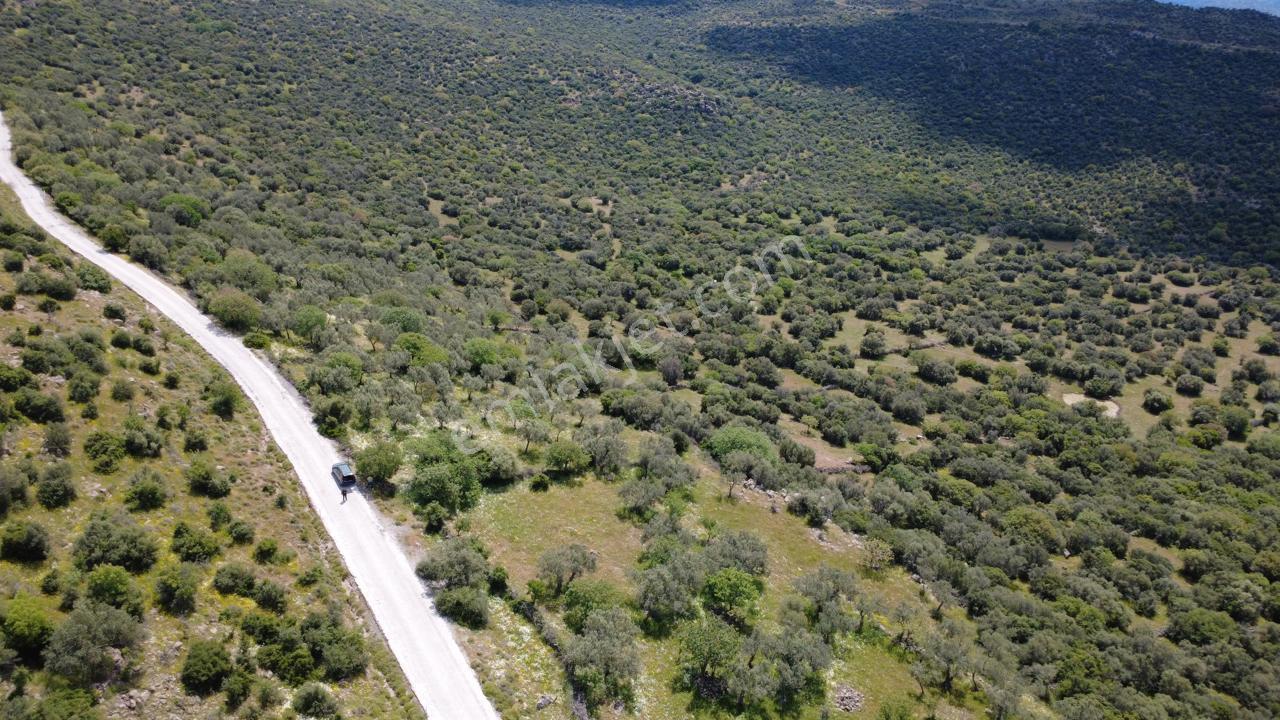 Hacıömerlide Satılık 20.000m2 Yola Cephe Satılık Arazi - Görsel 31