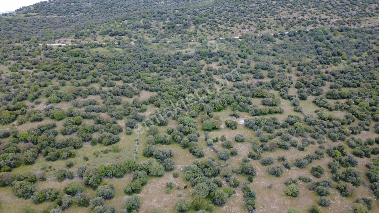 Hacıömerlide Satılık 20.000m2 Yola Cephe Satılık Arazi - Görsel 32