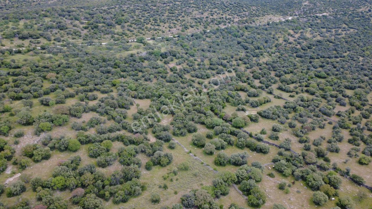 Hacıömerlide Satılık 20.000m2 Yola Cephe Satılık Arazi - Görsel 33