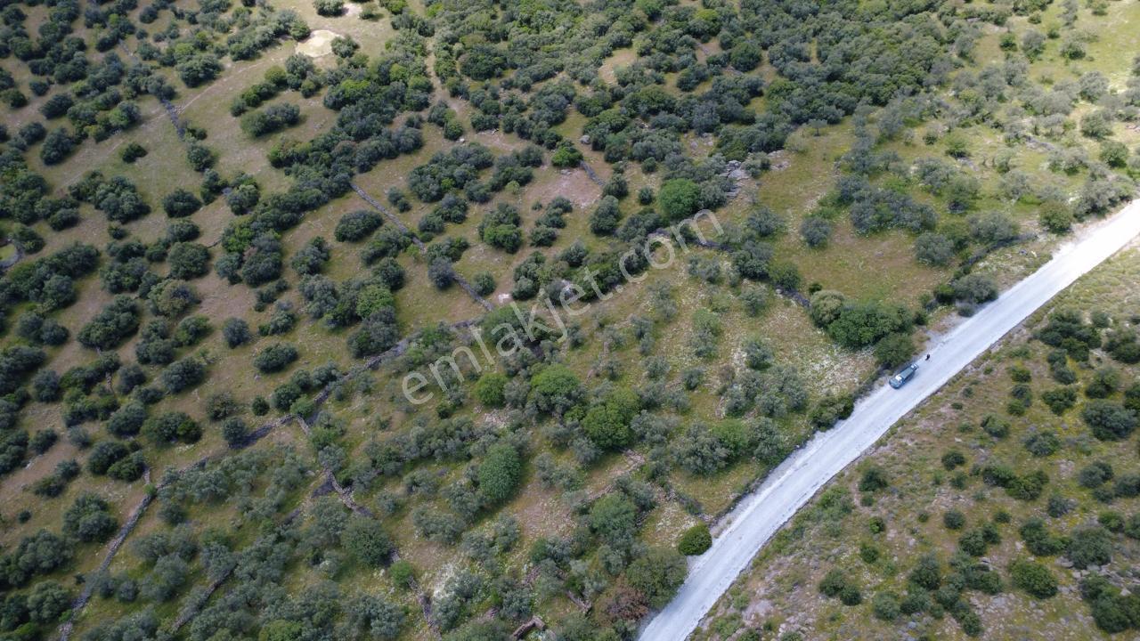 Hacıömerlide Satılık 20.000m2 Yola Cephe Satılık Arazi - Görsel 13