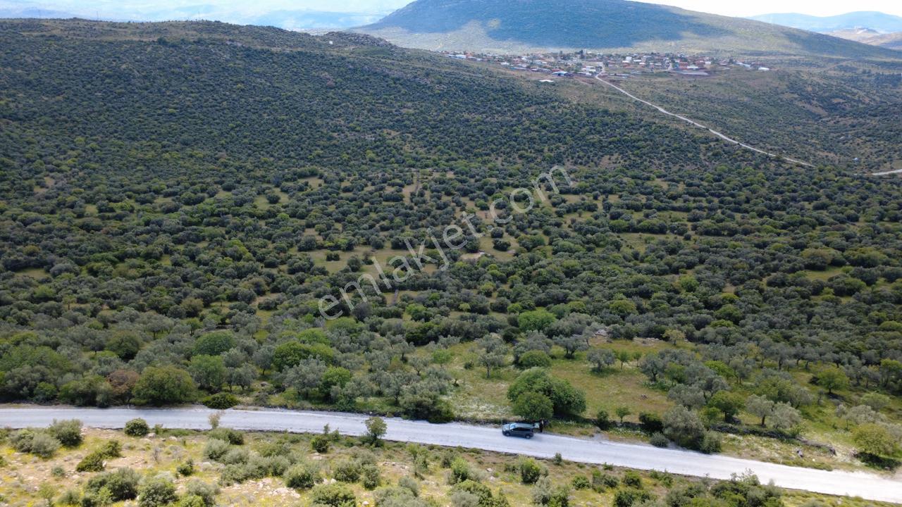 Hacıömerlide Satılık 20.000m2 Yola Cephe Satılık Arazi - Görsel 6