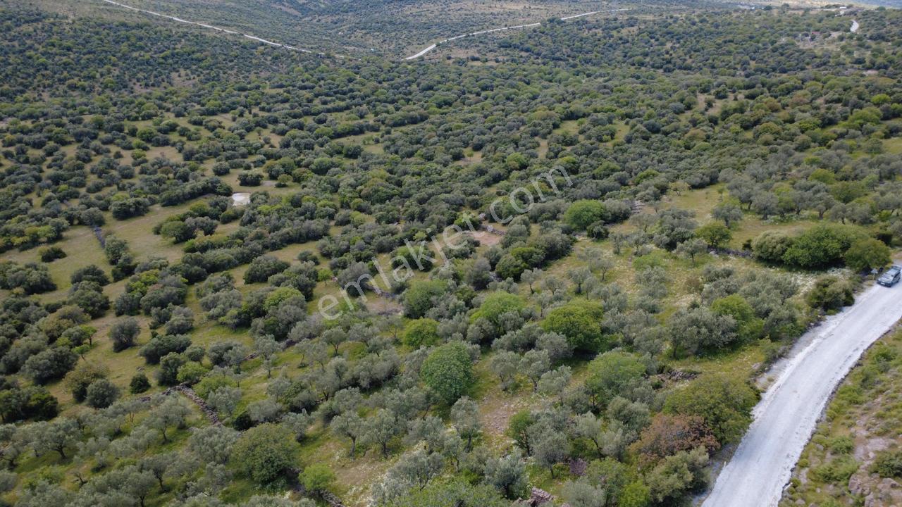 Hacıömerlide Satılık 20.000m2 Yola Cephe Satılık Arazi - Görsel 3