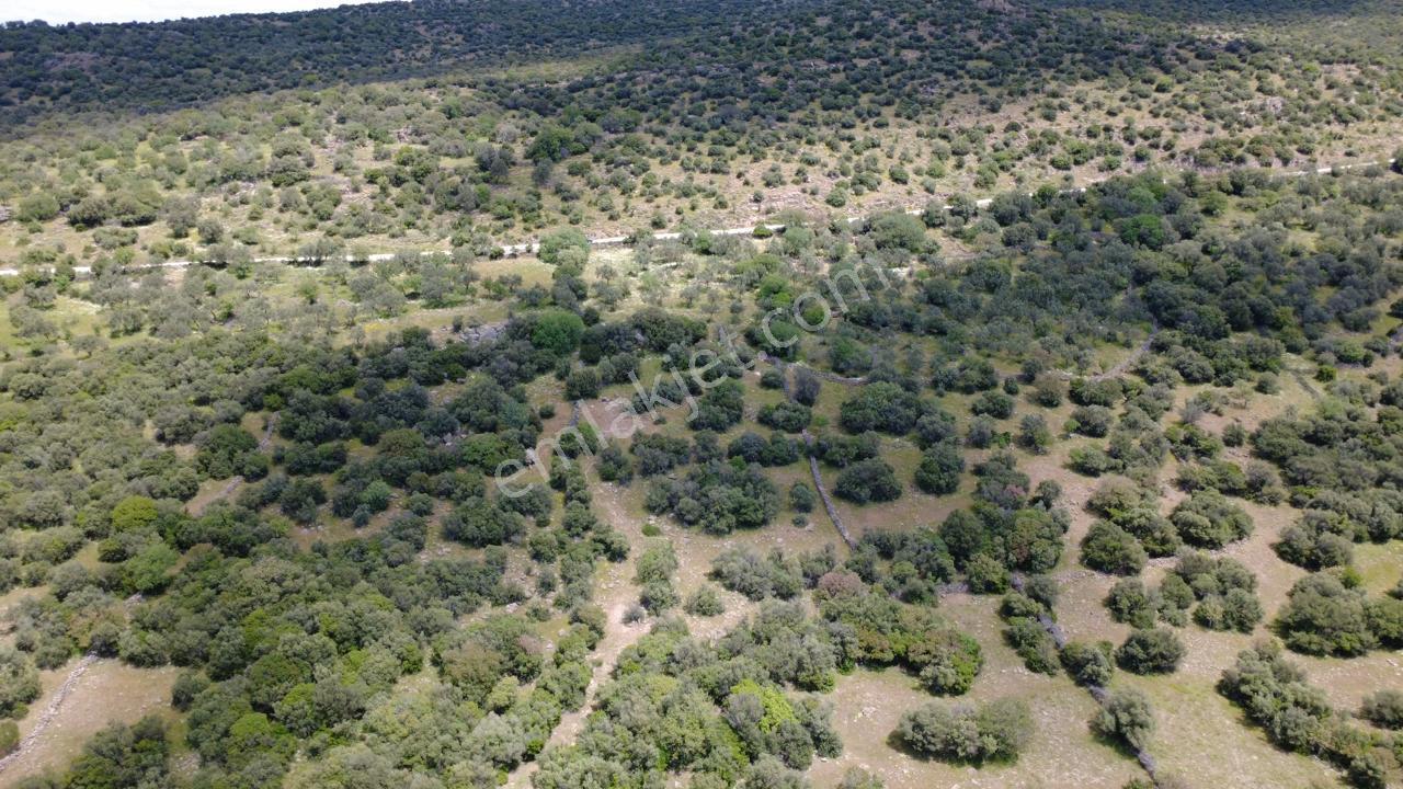 Hacıömerlide Satılık 20.000m2 Yola Cephe Satılık Arazi - Görsel 29