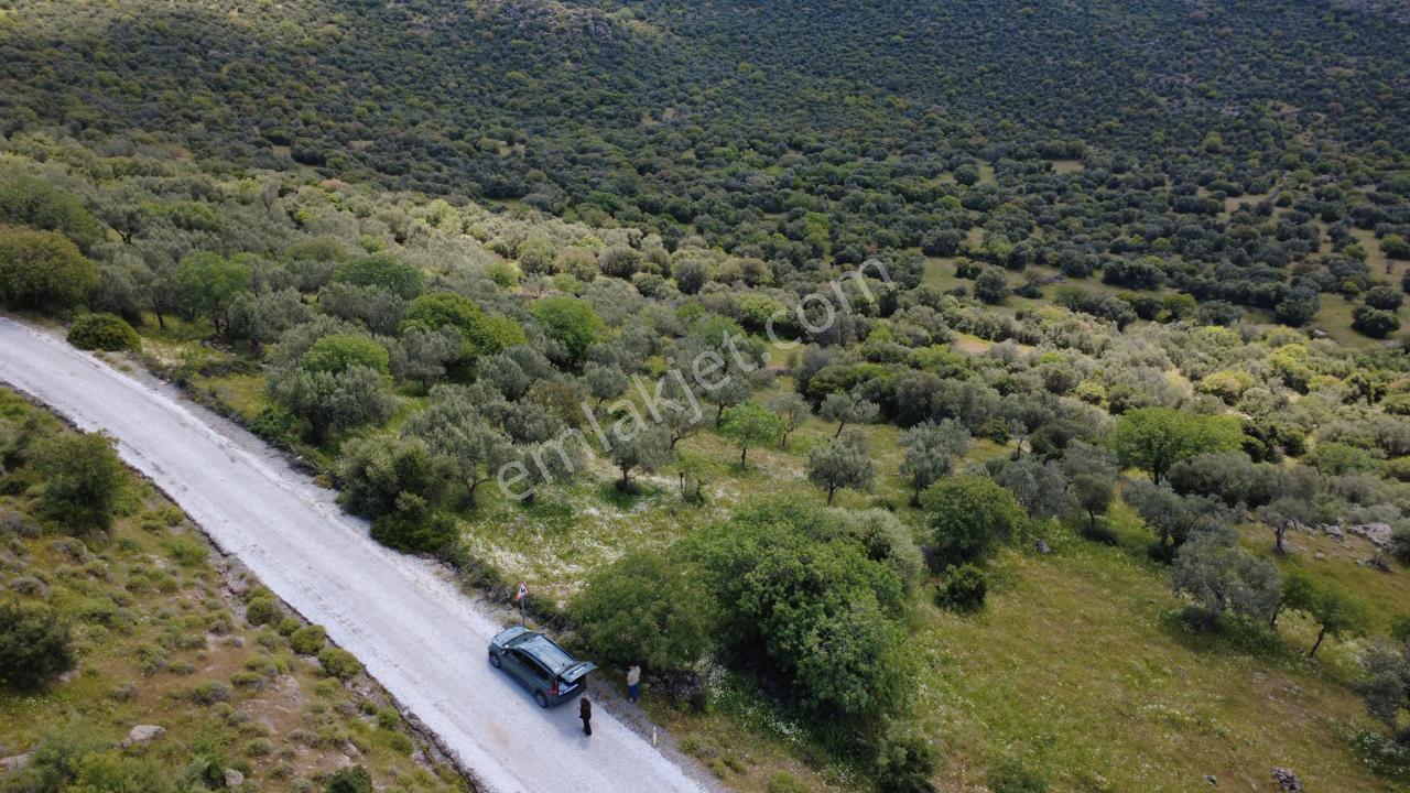 Hacıömerlide Satılık 20.000m2 Yola Cephe Satılık Arazi - Görsel 8
