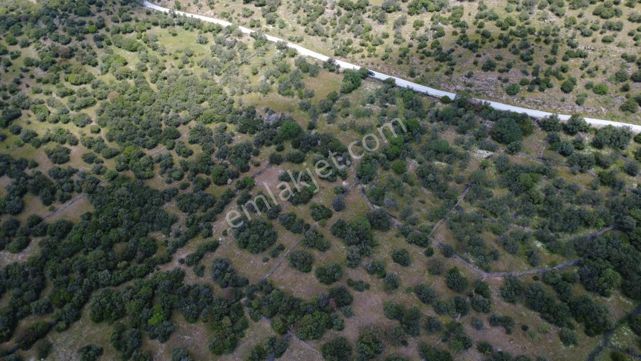Hacıömerlide Satılık 20.000m2 Yola Cephe Satılık Arazi - Görsel 17