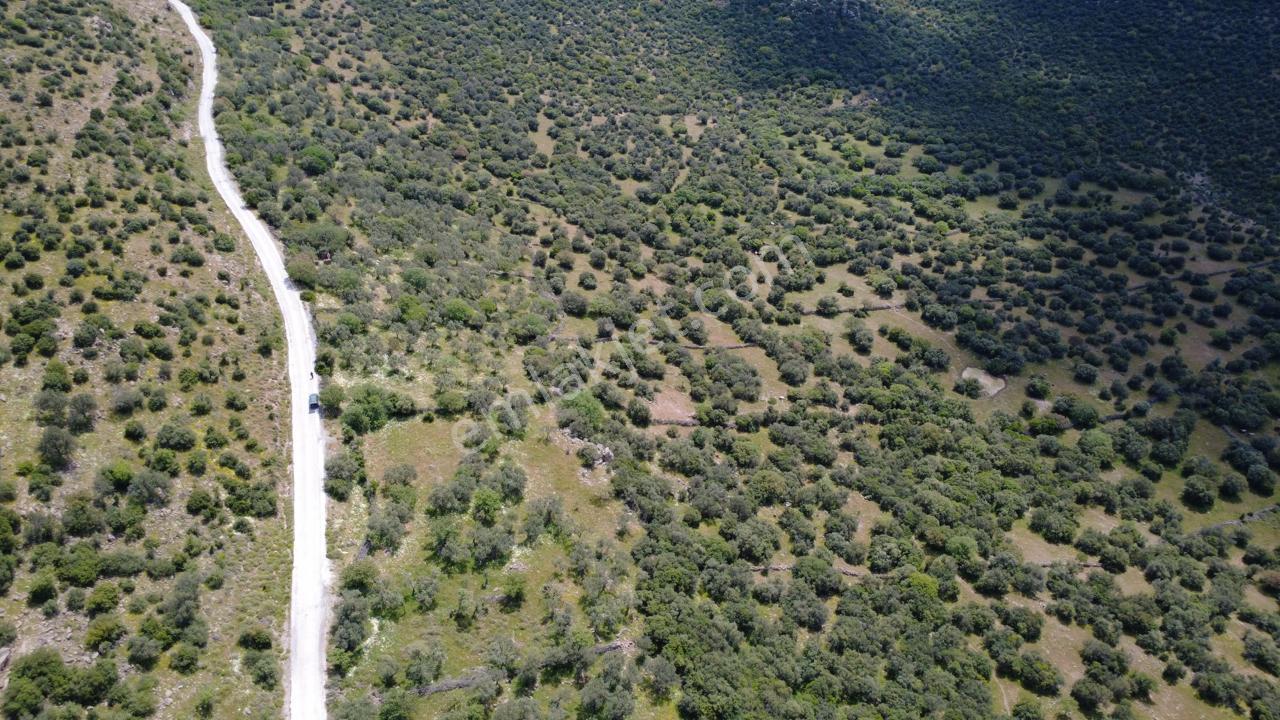Hacıömerlide Satılık 20.000m2 Yola Cephe Satılık Arazi - Görsel 24
