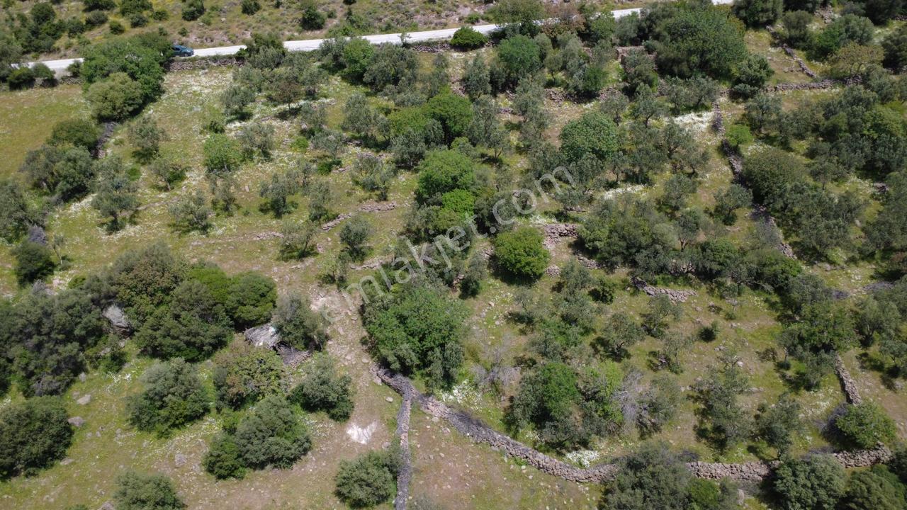 Hacıömerlide Satılık 20.000m2 Yola Cephe Satılık Arazi - Görsel 9