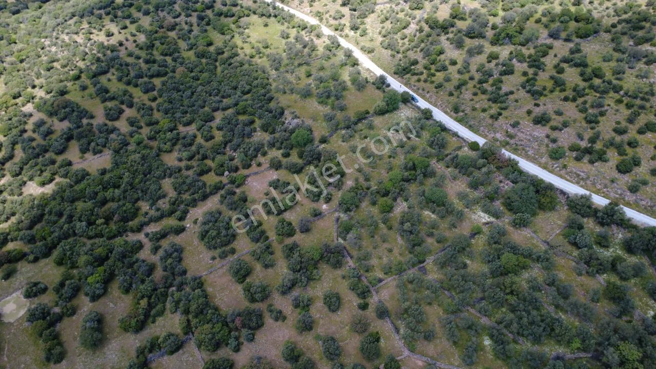 Hacıömerlide Satılık 20.000m2 Yola Cephe Satılık Arazi - Görsel 16