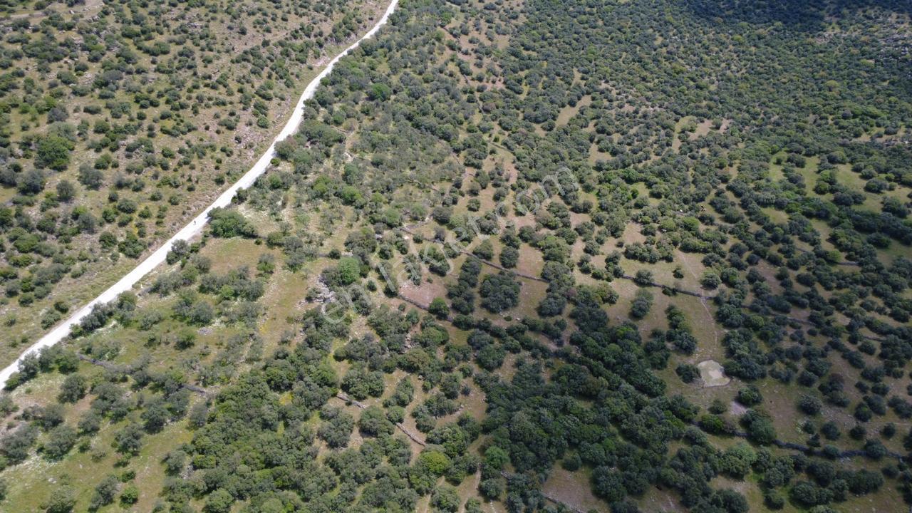 Hacıömerlide Satılık 20.000m2 Yola Cephe Satılık Arazi - Görsel 22