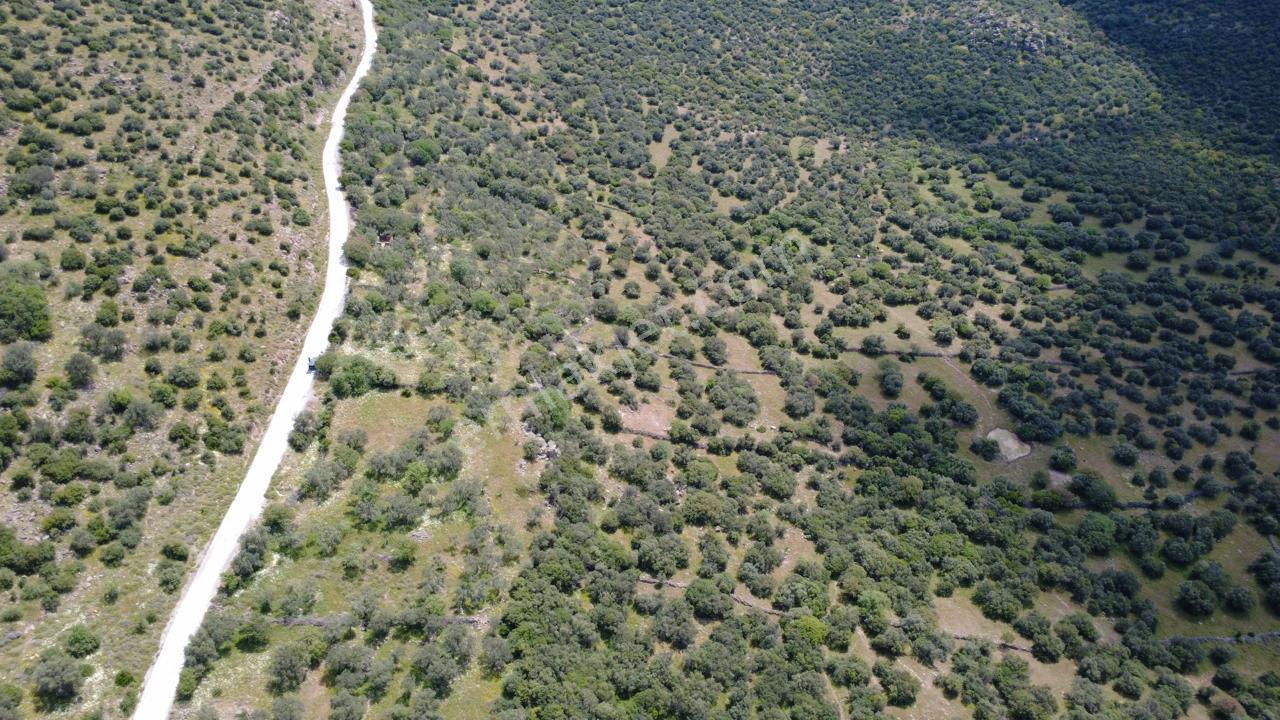 Hacıömerlide Satılık 20.000m2 Yola Cephe Satılık Arazi - Görsel 23