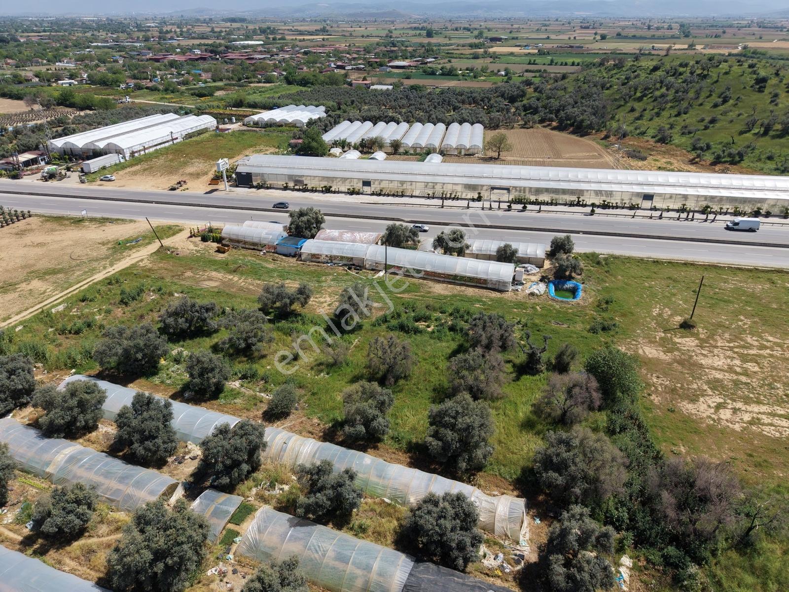 Derin Emlak'tan Bayındır'da Anayolun Hemen Yanında Satılık Arsa - Görsel 14